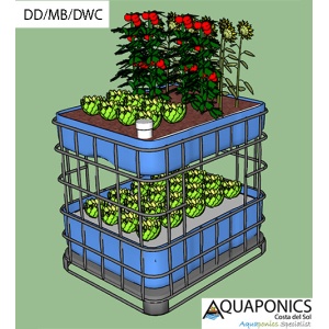 dd_mb_dwc