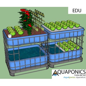 edu