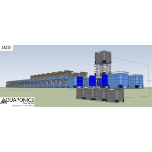 jade_02