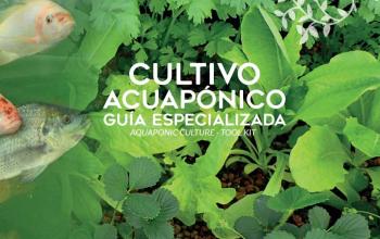 Specialised Guide